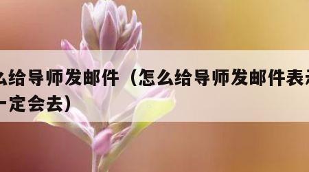 怎么给导师发邮件（怎么给导师发邮件表示自己一定会去）