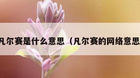 凡尔赛是什么意思（凡尔赛的网络意思）