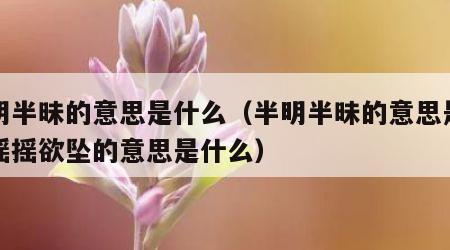 半明半昧的意思是什么（半明半昧的意思是什么摇摇欲坠的意思是什么）