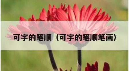 可字的笔顺（可字的笔顺笔画）