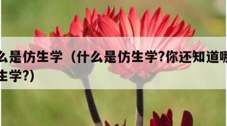 什么是仿生学（什么是仿生学?你还知道哪些仿生学?）