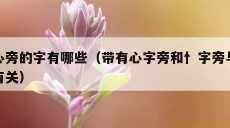 忄心旁的字有哪些（带有心字旁和忄字旁与什么有关）