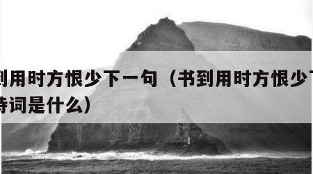 书到用时方恨少下一句（书到用时方恨少下一句诗词是什么）