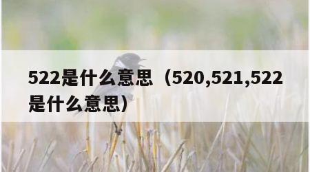 522是什么意思（520,521,522是什么意思）