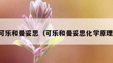 可乐和曼妥思（可乐和曼妥思化学原理）