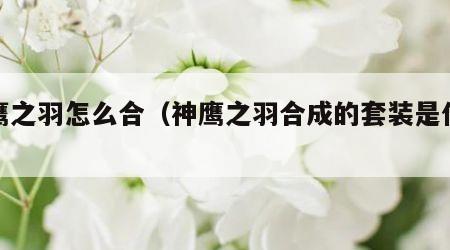 神鹰之羽怎么合（神鹰之羽合成的套装是什么）