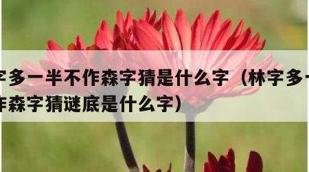 林字多一半不作森字猜是什么字（林字多一半不作森字猜谜底是什么字）