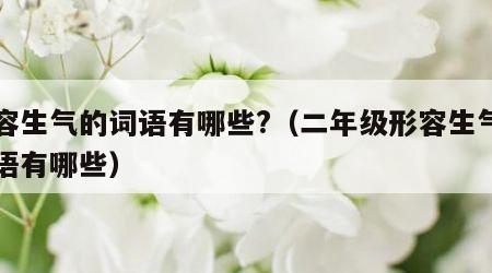 形容生气的词语有哪些?（二年级形容生气的词语有哪些）