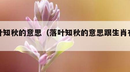 落叶知秋的意思（落叶知秋的意思跟生肖有关吗）