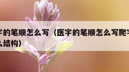 医字的笔顺怎么写（医字的笔顺怎么写爬字是什么结构）