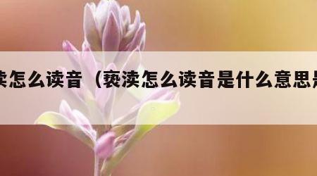 亵渎怎么读音（亵渎怎么读音是什么意思是什么）