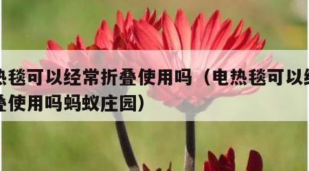 电热毯可以经常折叠使用吗（电热毯可以经常折叠使用吗蚂蚁庄园）