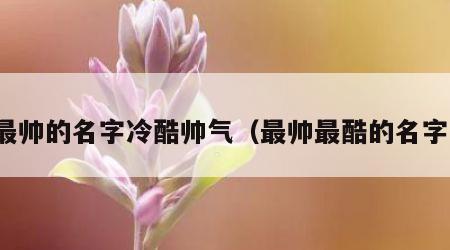 最帅的名字冷酷帅气（最帅最酷的名字）