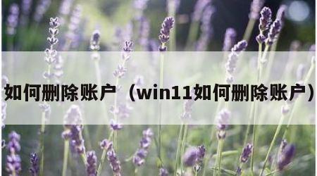 如何删除账户（win11如何删除账户）