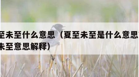 夏至未至什么意思（夏至未至是什么意思?夏至未至意思解释）