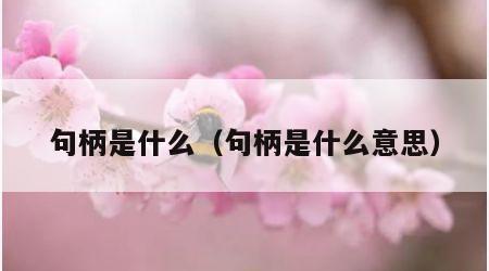 句柄是什么（句柄是什么意思）