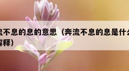 奔流不息的息的意思（奔流不息的息是什么意思解释）