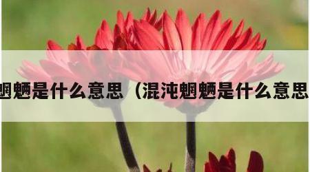 魍魉是什么意思（混沌魍魉是什么意思）