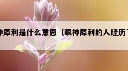 眼神犀利是什么意思（眼神犀利的人经历了什么）