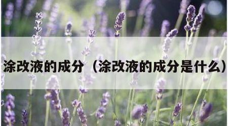 涂改液的成分（涂改液的成分是什么）