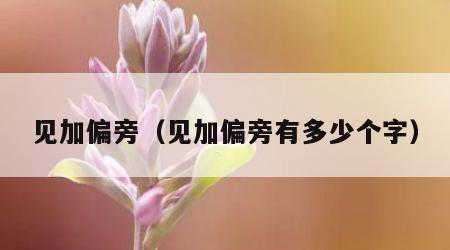 见加偏旁（见加偏旁有多少个字）