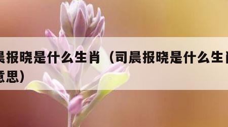 司晨报晓是什么生肖（司晨报晓是什么生肖什么意思）