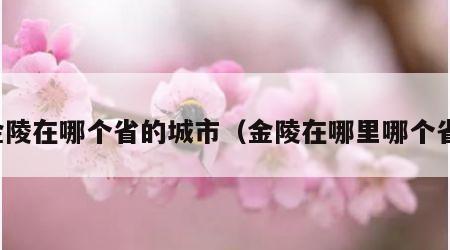 金陵在哪个省的城市（金陵在哪里哪个省）