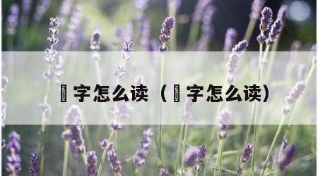 瞾字怎么读（衖字怎么读）