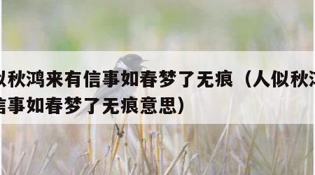 人似秋鸿来有信事如春梦了无痕（人似秋鸿来有信事如春梦了无痕意思）