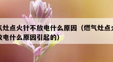 燃气灶点火针不放电什么原因（燃气灶点火针不放电什么原因引起的）