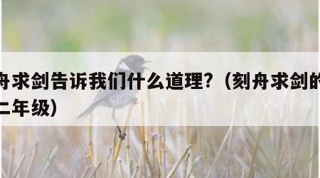 刻舟求剑告诉我们什么道理?（刻舟求剑的道理二年级）