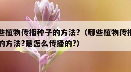 哪些植物传播种子的方法?（哪些植物传播种子的方法?是怎么传播的?）