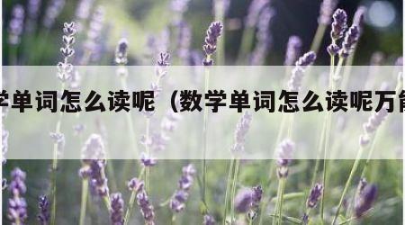 数学单词怎么读呢（数学单词怎么读呢万能钥匙）