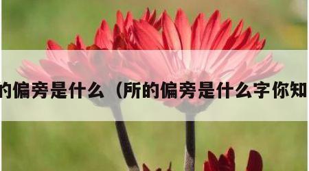 所的偏旁是什么（所的偏旁是什么字你知道）