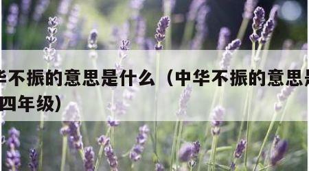 中华不振的意思是什么（中华不振的意思是什么?四年级）