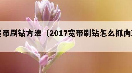 宽带刷钻方法（2017宽带刷钻怎么抓肉鸡）