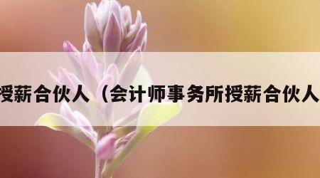 授薪合伙人（会计师事务所授薪合伙人）