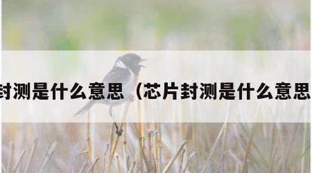 封测是什么意思（芯片封测是什么意思）