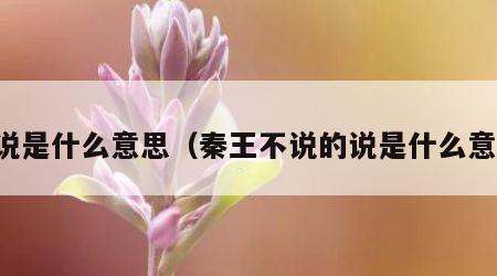 的说是什么意思（秦王不说的说是什么意思）