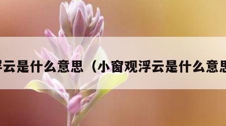 浮云是什么意思（小窗观浮云是什么意思）