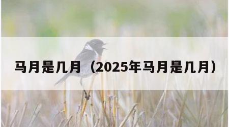 马月是几月（2025年马月是几月）