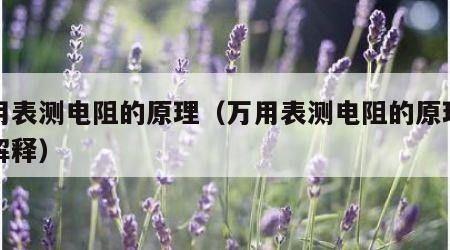 万用表测电阻的原理（万用表测电阻的原理详细解释）