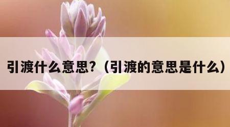 引渡什么意思?（引渡的意思是什么）