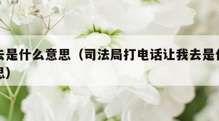 我去是什么意思（司法局打电话让我去是什么意思）