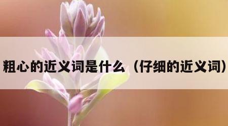 粗心的近义词是什么（仔细的近义词）