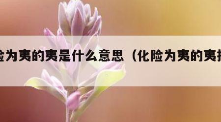 化险为夷的夷是什么意思（化险为夷的夷指什么）