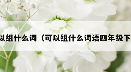 可以组什么词（可以组什么词语四年级下册）