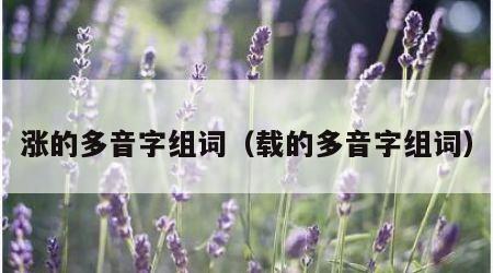 涨的多音字组词（载的多音字组词）