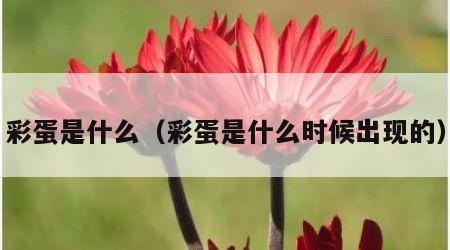 彩蛋是什么（彩蛋是什么时候出现的）