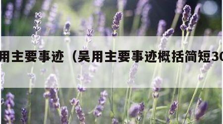 吴用主要事迹（吴用主要事迹概括简短30字）